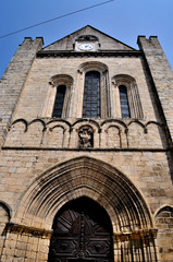 Fototapeta premium limousin