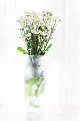  white flowers in a vase