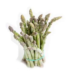 isolated asparagus