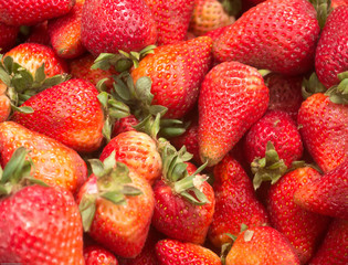 Strawberry - full frame