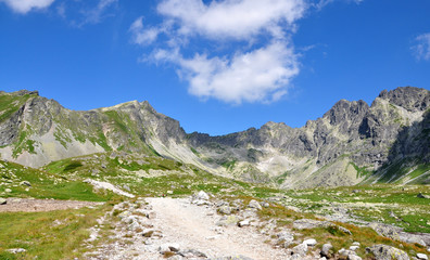 Fototapeta na wymiar view of the High Tatras in summer, Slovakia