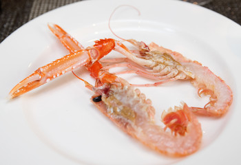 Scampi cut in halves