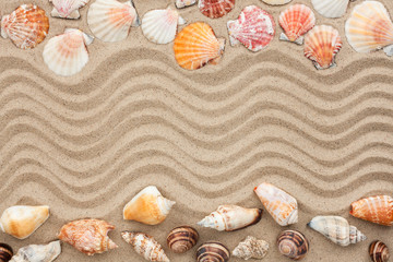 Sea shells with sand as background