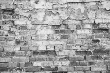 Obraz premium Brick wall