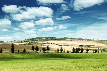 Fototapeta premium Tuscany, countryside, Italy