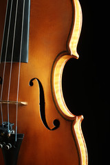 Violin orchestra musical instruments © Alenavlad