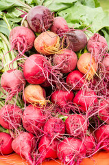Fresh picked beets at the market