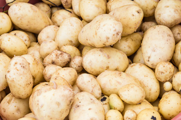 Fresh potatoes at the market
