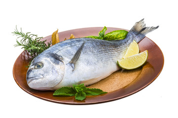 Fresh raw dorada