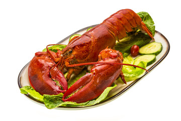 Large Lobster