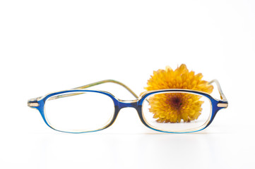 Glasses