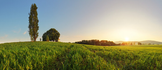 Sunset over green wheat field with path and chapel in Slovakia - © TTstudio
