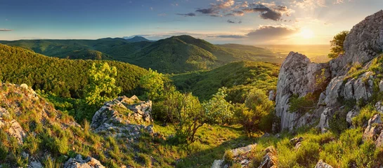 Papier Peint photo Automne Panorama de la forêt de montagne - Slovaquie