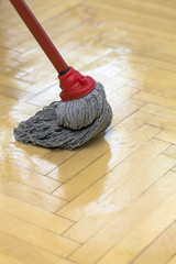 parquet cleaning with mop