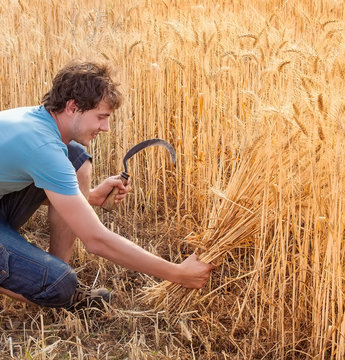 Portrait of smile harvest farmer with sickle