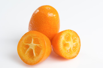 kumquat for all