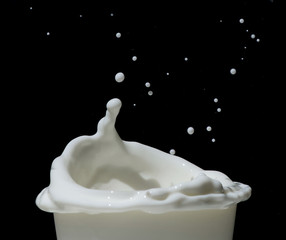 Splashing milk black isolated