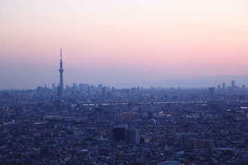 スカイツリー　シルエット