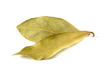 Fototapeta premium Bay leaf