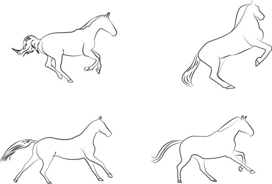 horses silhouette drawing