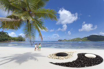 plage yin yang aux Seychelles