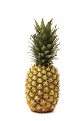 Fototapeta premium big Pineapple