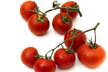 tomatoes with branch