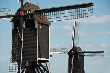 Holländische Windmühlen