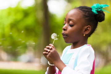 Outdoor portrait of a cute young black girl blowing a dandelion - 52455125