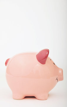 Piggy Bank In Profile.