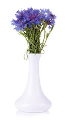 Beautiful bouquet of cornflowers in vase, isolated on white