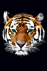 painted tiger head
