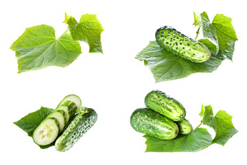 Cucumbers on white background with green leaf
