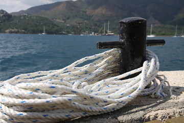White sailor line