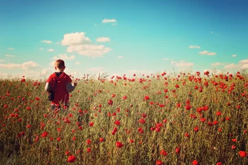 Gordijnen Little boy walking in poppy field © oliverleicher