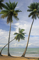 Obraz na płótnie Canvas Las Terrenas beach, Samana peninsula, Dominican Republic