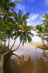 Fototapeta na wymiar Freshwater river at Las Terrenas beach, Samana peninsula