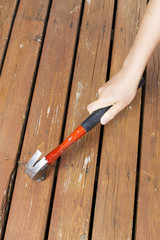 Female hand holding hammer to do maintenance on wooden deck