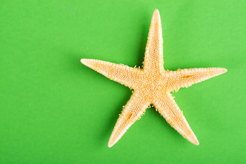 Fototapeta na wymiar starfish on green