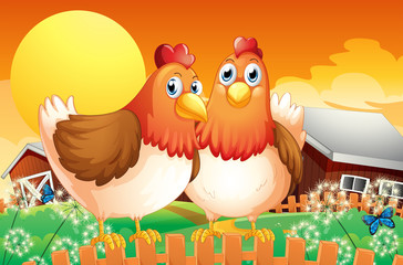 Obraz na płótnie Canvas A farm with two hens above the fence