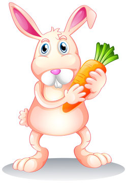 A fat bunny holding a carrot