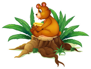 Fototapeta premium A bear sitting on a stump with leaves