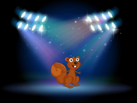 A squirrel at the stage with spotlights