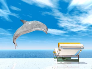 Kussenhoes springende dolfijn © Michael Rosskothen