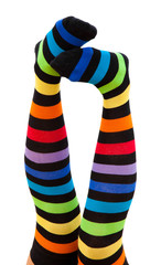 Obraz premium female legs