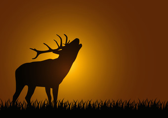 Hirsch © frilled_dragon