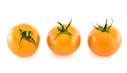 Three fresh tomatos covered with water drops isolated