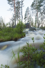 Beautiful spring stream