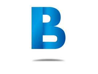 company name