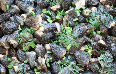 fried morels background